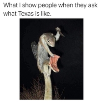 What I show people when they ask what Texas life is like
