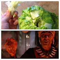 What I think every time I clean the lettuce