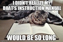 What I thought when I saw the cat reading