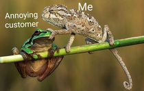 What i want to do to anmoying customers