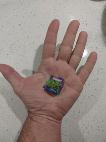What is this A Ninja Turtle for ants