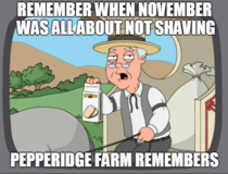 What is this bullshit about no nut november I remember no shave november was a thing