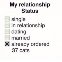 What is your relationship status
