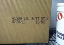 What kind of Milk was that