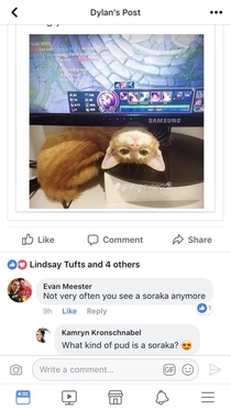 What kind of pud is a soraka 