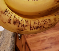What my brother wrote on a banana