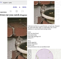 What my friend found on Craigslist