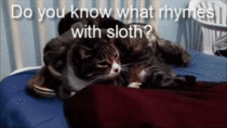 What rhymes with sloth