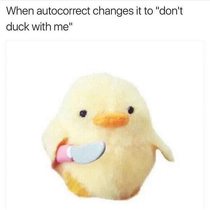 What the duck 