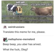 What the fuck Oleg