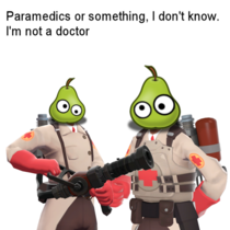 what type of fruit tends the wounded