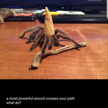 What would you do