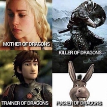 What would you do with a dragon