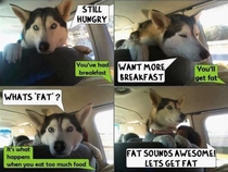 Whats fat