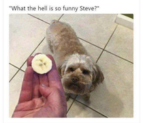 Whats funny Steve