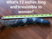 Whats  inches long and irresistible to women
