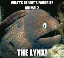 Whats Reddits favorite animal