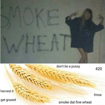 Wheat is dank