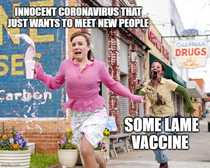 When a vaccine is developed