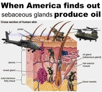 When americans see oil