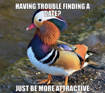 When an attractive person gives you dating advice