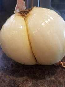 When an onion is thicker than you 