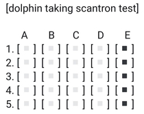 When dolphins take tests