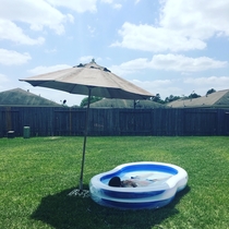 When its hot AF outside in Texas and youre too poor for a legit pool