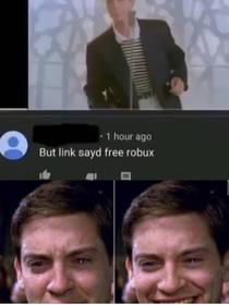 When kids search free robux and click on the first link