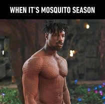 When mosquitoes love you