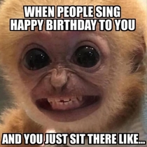 When People Sing Happy Birthday Song And You Are Like