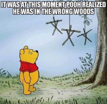 When Pooh realized he was in the wrong woods