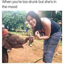 When shes in the mood but u drunk as fuck 