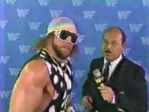 When someone asked if Im totally done with Macho Man Randy Savage gifs