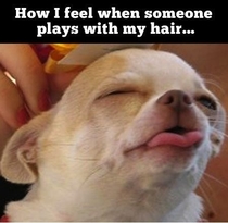 When someone plays with your hair Did u feel the same