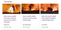 When the media cant even agree on saving a rabbit