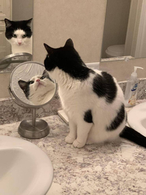 When will my reflection show