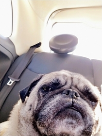 When you accidentally open your front camera