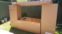 When you dont know what youre doing with your life so you build your dog a fort instead