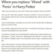When you replace wand with penis in Harry Potter