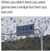 When you see a bridge