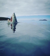 When you step on a lego 