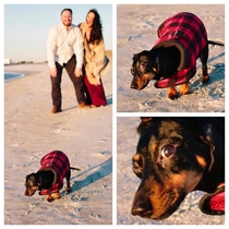 When you take engagement photos in  degree weather