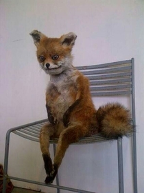 When you wake up early in the morning and sit on your bed like