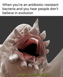 When your an antibiotic resistant bacteria and you hear people dont believe in evolution