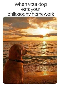 When your dog eats your philosophy homework