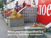 When youre a talented ass-kisser