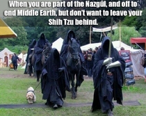 When youre part of the Nazgul but also own a Shih Tzu