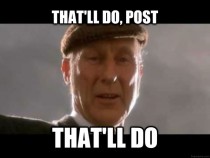 Whenever I post something that gets  upvotes