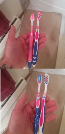 Whenever Im at my girlfriends place I always forget which toothbrush is mine She says its the one with more blue